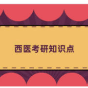 考研西医综合知识点卡包封面