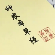 【倪海厦】神农本草经完整版卡包封面