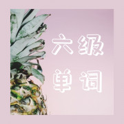 六级高频词汇卡包封面