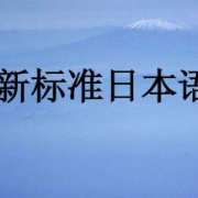 （初级）新标准日本语-基本课文卡包封面