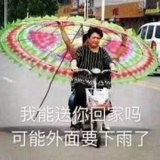 引论口诀卡包封面