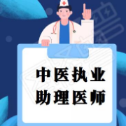 【西医及临床医学科目】中医执业助理医师题库卡包封面