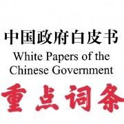 【免费】白皮书词条汇总卡包封面