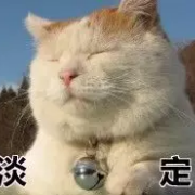 MTI百科哒哒哒卡包封面