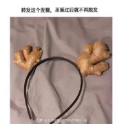 考研方剂240首方歌（包含功效主治 ）卡包封面
