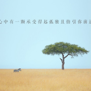 项目管理期末考试重点卡包封面