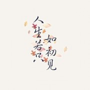 方剂学卡包封面