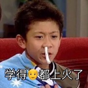 解剖生理卡包封面
