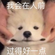 中国古代史（星标名解）卡包封面