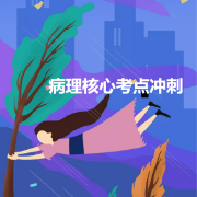 病理核心冲刺考点卡包封面
