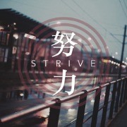 中药炮制学卡包封面