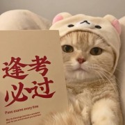 【事业单位】D类策略选择技巧和错题总结卡包封面