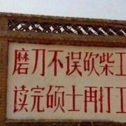 口腔解剖生理学重点卡包封面