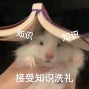 中医执业医师技能第一站 证型+方剂卡包封面