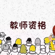 教资《综素+教知（小学）》题库卡包封面