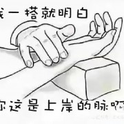 方剂方歌自编包含功效主治版卡包封面