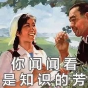 世界现代设计史卡包封面
