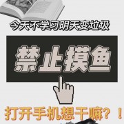 浙财-李金昌-432卡包封面