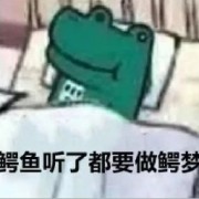 温病一百条背诵卡包封面