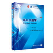 系统解剖学卡包封面