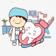 口腔组织胚胎病理学卡包封面