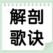 解剖歌诀卡包封面