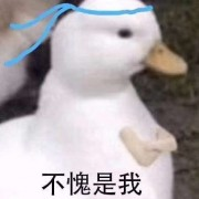 23宪法学背诵宝典卡包封面