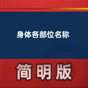 【身体各部位名称--英语词汇】卡包封面