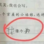 法制史客观题卡包封面