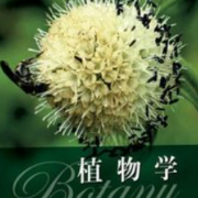 【考研】植物学题库卡包封面