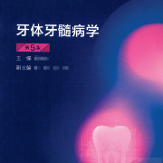 06. 牙体牙髓病学-简答论述卡包封面