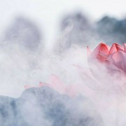 儿童口腔医学卡包封面
