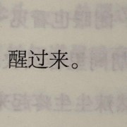 河师大现代汉语卡包封面