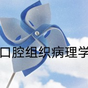 口腔组织病理学卡包封面