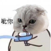 英汉词条热词卡包封面