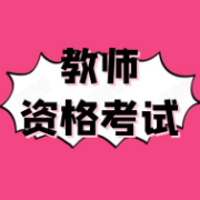 教资考试《语文》（初级中学）题库卡包封面
