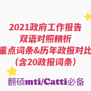 21政报中英逐句&重点词条(含20政报词条)卡包封面
