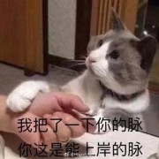 考研针灸学歌诀卡包封面