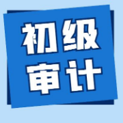 初级审计师《审计专业相关知识》真题精选＋章节题库卡包封面