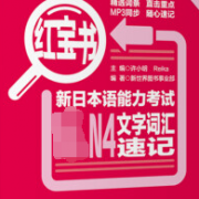 日本语红宝书N4卡包封面