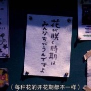 宪法口诀卡包封面