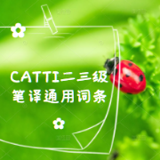 CATTI二三级笔译通用词条卡包封面
