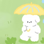 粉笔公基-非法卡包封面