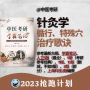 【针灸穴歌+治疗歌诀】学霸笔记考研中医综合卡包封面