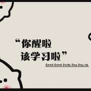 313知识点大全卡包封面