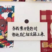 我的单词本卡包封面