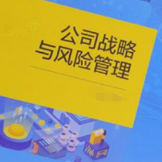 2022年注册会计师考试《公司战略与风险管理》题库卡包封面