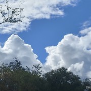 政府工作报告词条(近四年)卡包封面