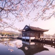 李白卡包封面