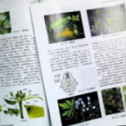 植物学习题卡包封面